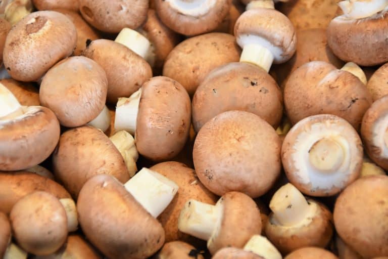 how to cut mushrooms